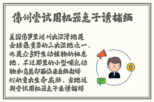 八重神子巨娘吃掉旅行者了吗